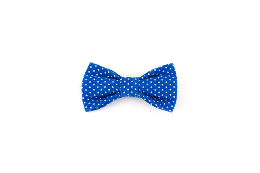 Blue cat bow tie with white polka dots.
